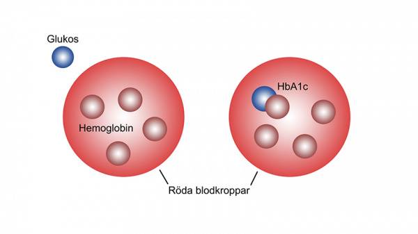 HbA1c blodsocker mattenhet mol